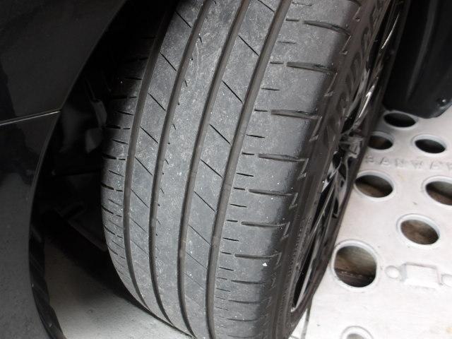 �e�^�C���̍a�������Ղ�T�~���c���Ă���܂��B