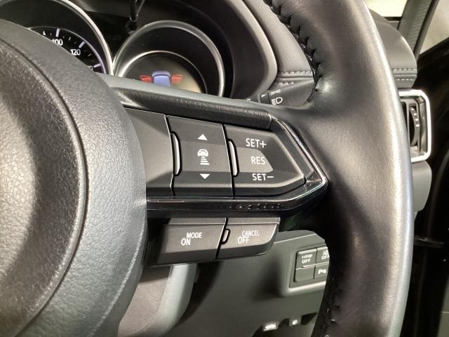 �l�q�b�b�i�}�c�_���[�_�[�N���[�Y�R���g���[���j�͐�s�ԂƂ̎ԊԂ��ێ����Ȃ���Ǐ]���s���s���A�������ł̃h���C�o�[���S���y�������Ă���܂��B