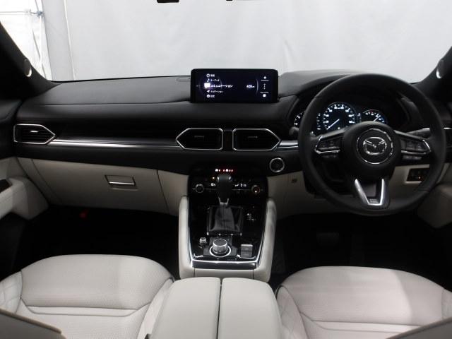 �����͑�l�̂�Ƃ������������㎿��Ԃł��B