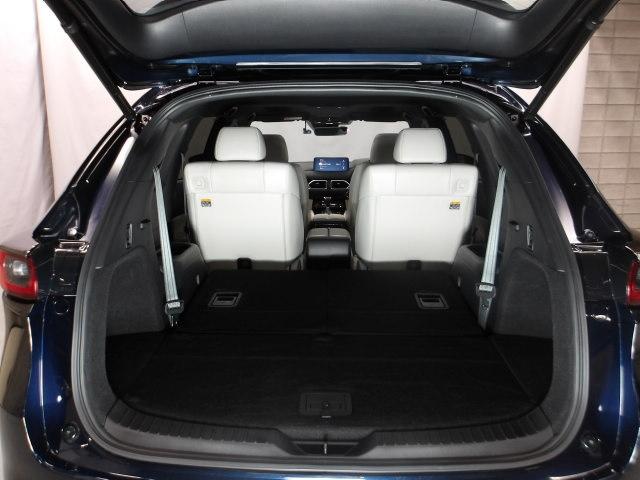 �R��ڂ���܂������Ȏp���ō~�����J�����A�A�N�Z�X���B�h�A���J���p�x�A�Q��ڃV�[�g���O�ɓ|���p�x�A���A�E�B���h�E�̌�[�𗧂Ă��J���`��ɂ���āA�̂��܂������O�Ɍ������܂܁A���������点�邾���ŃX��