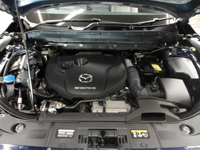 �r�j�x�`�b�s�h�u-�c�B���ׂĂ̐��\��i�������A�]�T�̑�������������N���[���f�B�[�[���B