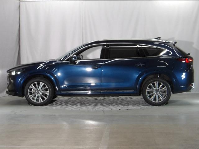 �l�n��̂̑�����x����A�˂���ɂ����ƌy���𗼗��B�������Փˈ��S���\�̍������傫�ȓ����ł��B