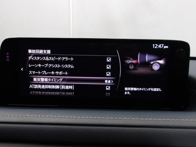 �ᑬ���s���ɑO���̏�Q�������m���āA�Փ˔�Q���y�����Ă����X�}�[�g�E�V�e�B�E�u���[�L�E�T�|�[�g�𑕔��I�A�N�Z���ƃu���[�L�̓��݊ԈႦ�Ȃǂ̋}������}�����Ă����S���������ł��B