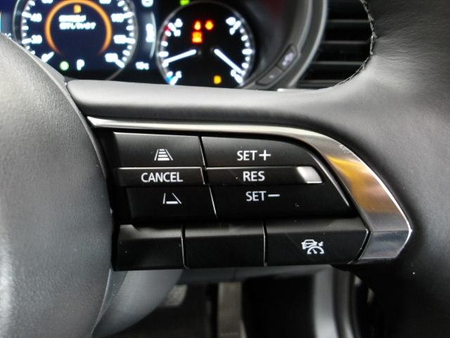 �l�q�b�b�i�}�c�_���[�_�[�N���[�Y�R���g���[���j�͐�s�ԂƂ̎ԊԂ��ێ����Ȃ���Ǐ]���s���s���A�������ł̃h���C�o�[���S���y�������Ă���܂��B