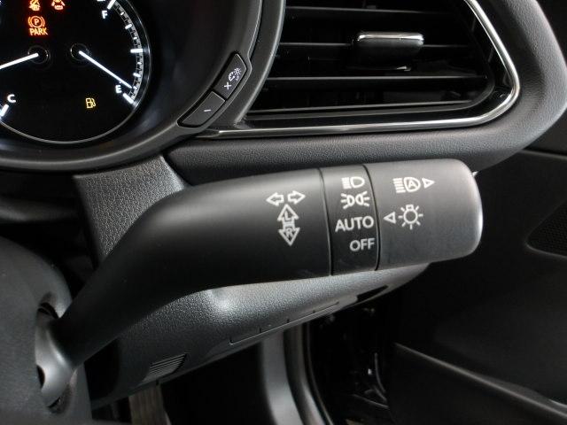 �[��ꎞ��A�������g���l���ȂǁA�w�b�h���C�g�_�E�����̔ς킵������J�����Ă����I�[�g���C�g����������Ă��܂��B