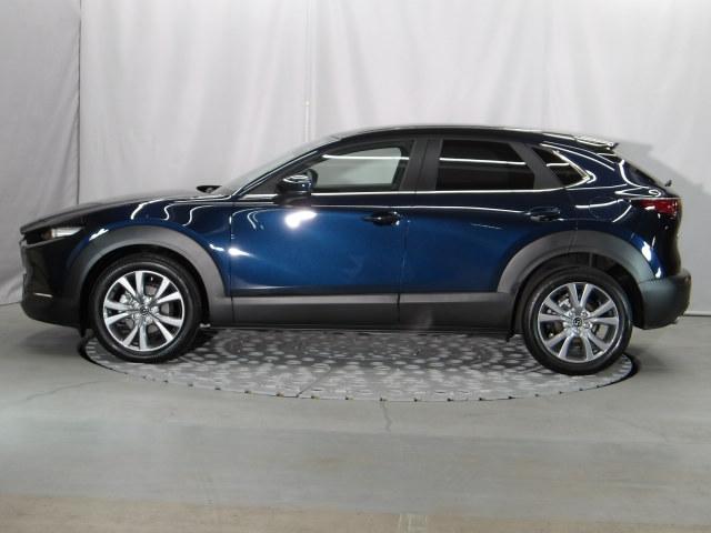 ���D�݂̐ݒ�ɉ����ĕ��ϔR���q���\�������\���\�ł��I