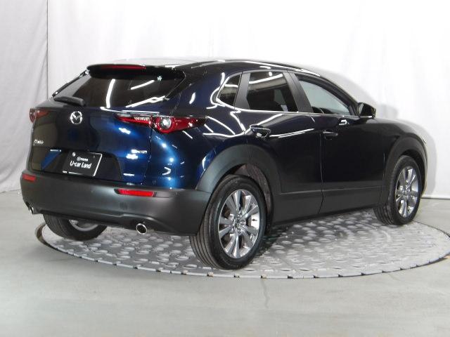 �A�h�o���X�g�L�[���g�т��Ă��邾���ŁA�h�A�A���A�Q�[�g�̎{���^�J�����s���܂��B�J�̓���ו��Ŏ肪�ǂ����Ă��鎞�ɁA���ɏ�������K�ȑ����ł��B