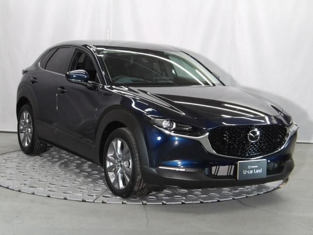 �G���W���A�g�����X�~�b�V�����A�{�f�B�A�V���V�[�̂��ׂĂɃX�J�C�A�N�e�B�u�e�N�m���W�[���̗p�I�㎿�ŋC�����̂�������ƁA�D�ꂽ�R��\�𗼗����Ă��܂��B