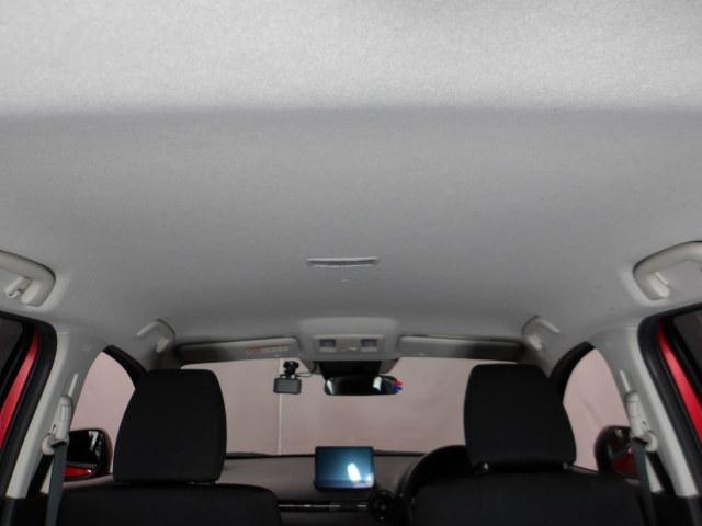 �V��ɂ͖ڗ������V�~���������ꂢ�ȏ�Ԃł�