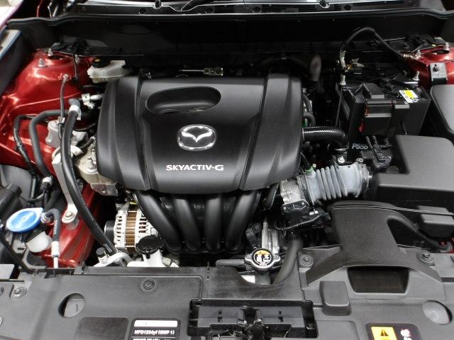 �r�j�x�`�b�s�h�u-�f���ځI�u���ȃp���[�t�B�[���ƒᒆ���̖L���ȃg���N�ɂ����p��ł̈����Ղ��𐥔�̊����ĉ������I