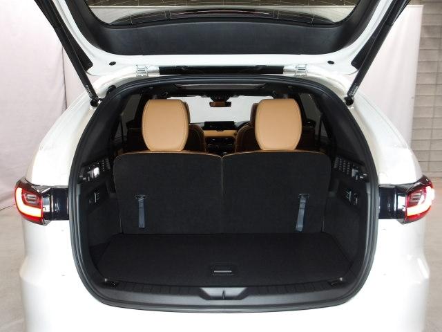 �p���[���A�Q�[�g�����I�X�C�b�`�ЂƂŃ��A�Q�[�g�̊J���ł��ĂƂĂ��֗��ȃA�C�e���ł��B