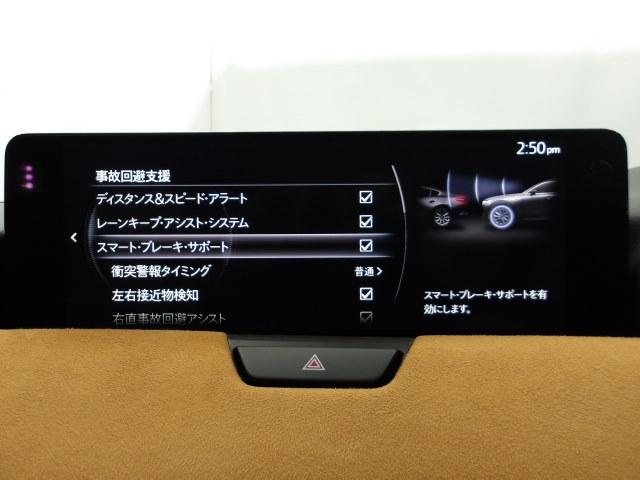 �Ԃ��Q�������łȂ��l�����m���A�u���[�L���������䂵�ďՓˉ�����T�|�[�g���Ă����A�h�o���X�g�E�X�}�[�g�E�V�e�B�E�u���[�L�E�T�|�[�g�𑕔��I