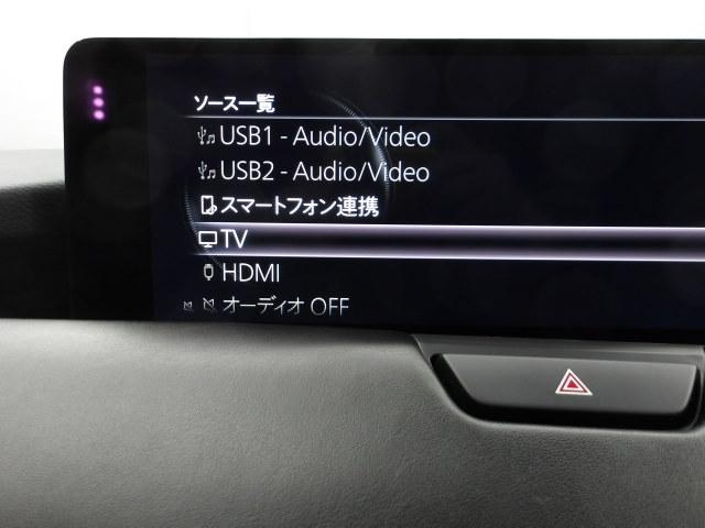 ���[�J�[�I�v�V�����s�u�`���[�i�[�t�I