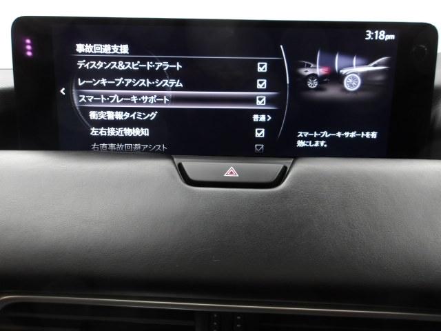 �Ԃ��Q�������łȂ��l�����m���A�u���[�L���������䂵�ďՓˉ�����T�|�[�g���Ă����A�h�o���X�g�E�X�}�[�g�E�V�e�B�E�u���[�L�E�T�|�[�g�𑕔��I