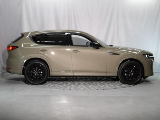 �[��ꎞ��A�������g���l���ȂǁA�w�b�h���C�g�_�E�����̔ς킵������J�����Ă����I�[�g���C�g����������Ă��܂��B