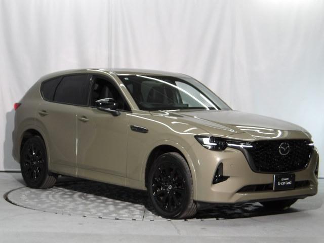 �w�b�h���C�g�ɐ����悭�E�H�b�V���[�t�𐁂��t���Đ�≘��𗎂Ƃ��A���V��ł̎��E����������Ɗm�ۂ��Ă����w�b�h���C�g�E�H�b�V���[����������Ă��܂��B