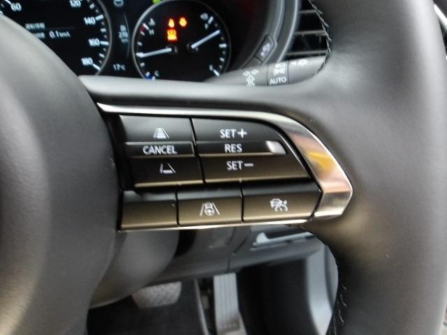 ＣＸ－３０ ２．０　２０Ｓ　ツーリング　３６０°セーフティ＆コンフォートパッケージ　ブラックレザーパッケージ　ＢＯＳＥ　運転席パワーシート　１０．２５インチセンターディスプレイ　禁煙　パワーリアゲート　レーダークルーズコントロール　ＬＥＤ（22枚目）