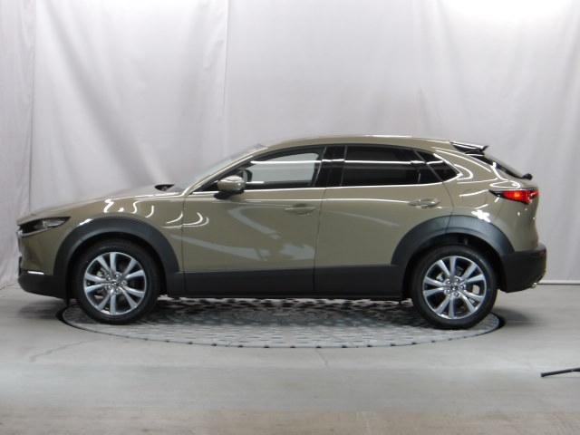 ＣＸ－３０ ２．０　２０Ｓ　ツーリング　３６０°セーフティ＆コンフォートパッケージ　ブラックレザーパッケージ　ＢＯＳＥ　運転席パワーシート　１０．２５インチセンターディスプレイ　禁煙　パワーリアゲート　レーダークルーズコントロール　ＬＥＤ（36枚目）
