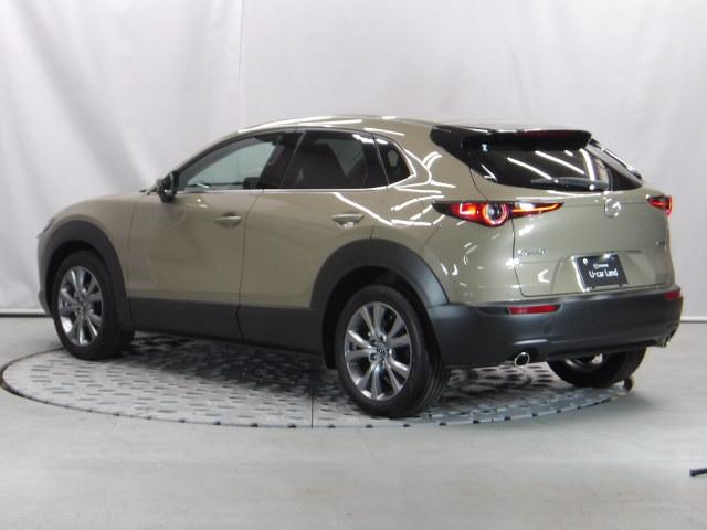 ＣＸ－３０ ２．０　２０Ｓ　ツーリング　３６０°セーフティ＆コンフォートパッケージ　ブラックレザーパッケージ　ＢＯＳＥ　運転席パワーシート　１０．２５インチセンターディスプレイ　禁煙　パワーリアゲート　レーダークルーズコントロール　ＬＥＤ（37枚目）