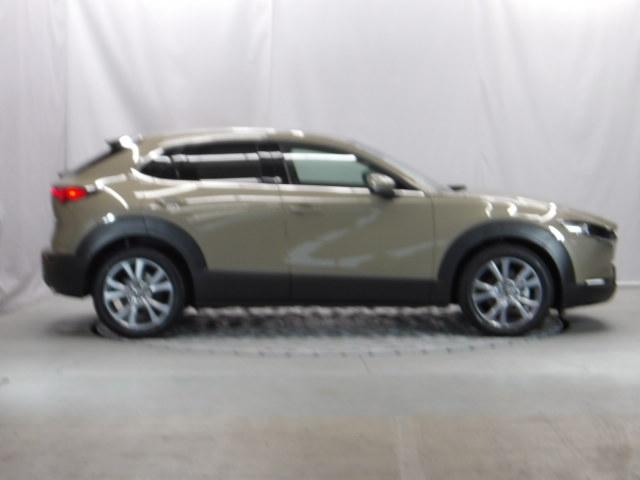 ＣＸ－３０ ２．０　２０Ｓ　ツーリング　３６０°セーフティ＆コンフォートパッケージ　ブラックレザーパッケージ　ＢＯＳＥ　運転席パワーシート　１０．２５インチセンターディスプレイ　禁煙　パワーリアゲート　レーダークルーズコントロール　ＬＥＤ（39枚目）