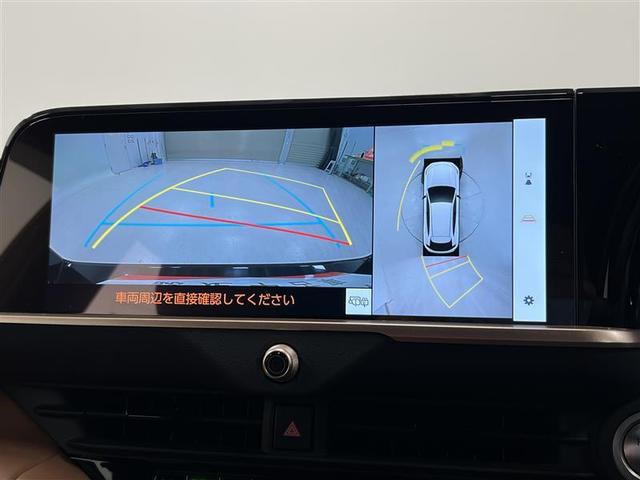 �p�m���~�b�N�r���[���j�^�[�t�I�ԗ����ӂ��摜�ň��S�m�F���邱�Ƃ��o���܂��I