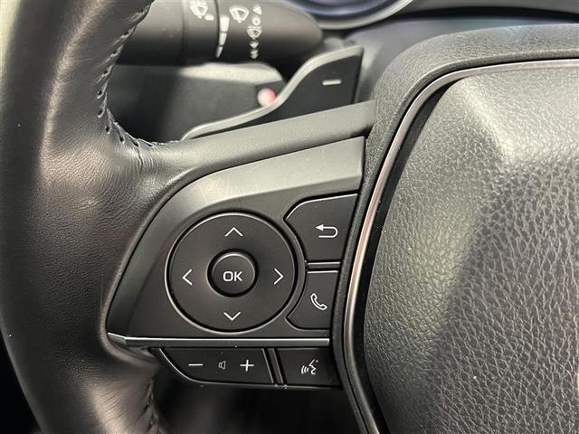 カムリ ＷＳレザーパッケージ　ワンオーナ　本革シ　地デジＴＶ　クルーズコントロール　記録簿有　アルミホイール　スマートキープッシュスタート　ナビ・ＴＶ　サイドカーテンエアバック　ＥＴＣ付き　パワーシート　ＤＶＤ　デュアルエアバッグ（10枚目）