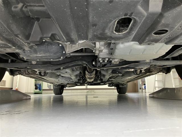 �t�����g���猩�������̉摜�ł��I