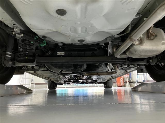 �������猩�������̉摜�ł��I