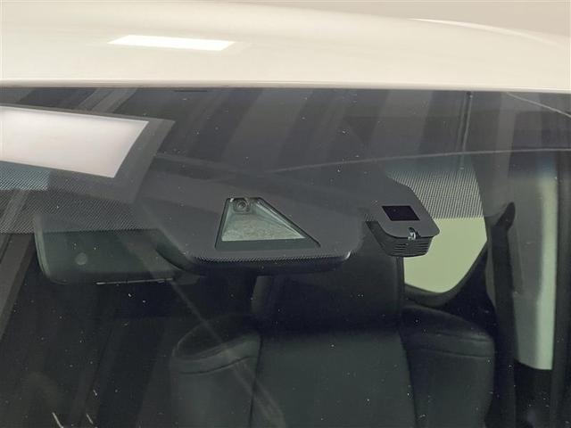 アルファード 2.5S Cパッケージ 両電動ドア Bモニタ 地デジ 1オーナー 定期点検記録簿 DVD再生可能 リアオートエアコン ナビテレビ 横滑り防止 クルコン AC100V電源 セキュリティ ETC車載器 LEDヘッドライト ABS(22枚目)