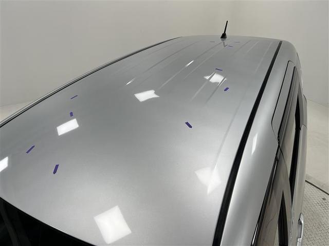 ���[�t�p�l���ɍ~蹂ɂ����̂Ǝv����y�߂̃w�R�~�����B�摜�ł̊m�F�͓���̂ŁA�����X�ł̎��Ԋm�F�����肢���܂��B