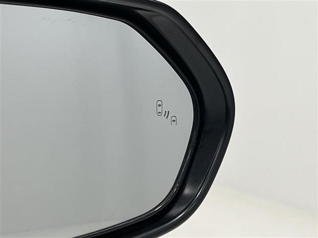 �㑤���G���A�ɑ��݂���ԗ������m����ƃh�A�~���[�̃C���W�P�[�^�[���_������a�r�l�i�u���C���h�X�|�b�g���j�^�[�j�I