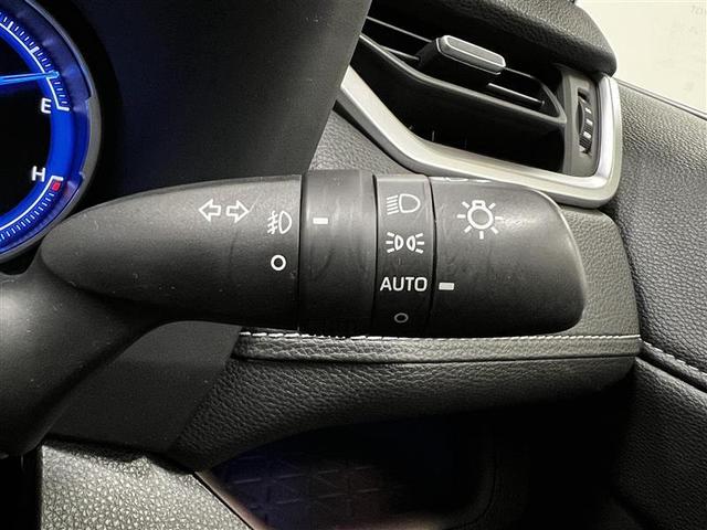 ＲＡＶ４ ハイブリッドＧ　点検記録簿　ＬＥＤライト　アルミ　フルセグＴＶ　横滑り防止　盗難防止装置　オートエアコン　電動シート　クルーズＣ　キーレス　スマートキー　ＴＶナビ　ワンオーナー車　メモリーナビ　エアバッグ　ＥＴＣ（13枚目）