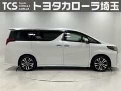 �ȥ西�����䤹����ż֤�Ǽ���������������ȡ���ǯ�����Ե�Υ̵���¤Υ��󥰥���ݾ��ա�ͭ���Ǻ�Ĺ��ǯ�֤ޤǱ�Ĺ��ǽ�� 2