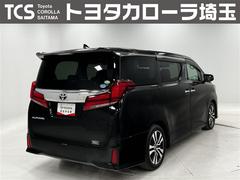 �ȥ西����ż֤�Ǽ���������������ȣ�ǯ�����Ե�Υ̵���¤Υ��󥰥���ݾ��ա�ͭ���Ǻ�Ĺ��ǯ�֤ޤǱ�Ĺ��ǽ�� 2