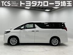 ����ե�����&nbsp;�������ӡ�ξ��ư�ɥ��������ݥʡݡ��ϥǥ����¥���顡�����á������륳�󡡣ӥ��������֥륨�����󡡣��ã������֡��ţԣüֺܴ��ǥ����ץ쥤�䡼��³�������ե꡼���ʥӣԣ֡������ʥ����Хå����ѥ凉�ơ��ģ֣Ļ�İ��