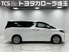 ����ե�����&nbsp;�������ӡ�ξ��ư�ɥ��������ݥʡݡ��ϥǥ����¥���顡�����á������륳�󡡣ӥ��������֥륨�����󡡣��ã������֡��ţԣüֺܴ��ǥ����ץ쥤�䡼��³�������ե꡼���ʥӣԣ֡������ʥ����Хå����ѥ凉�ơ��ģ֣Ļ�İ��