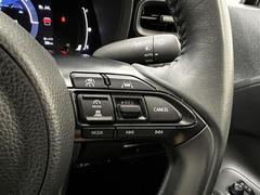 ��¦������®�ɽ���ǽ�졼�������롼������ȥ���������ʤɤ���ǽ�� 6