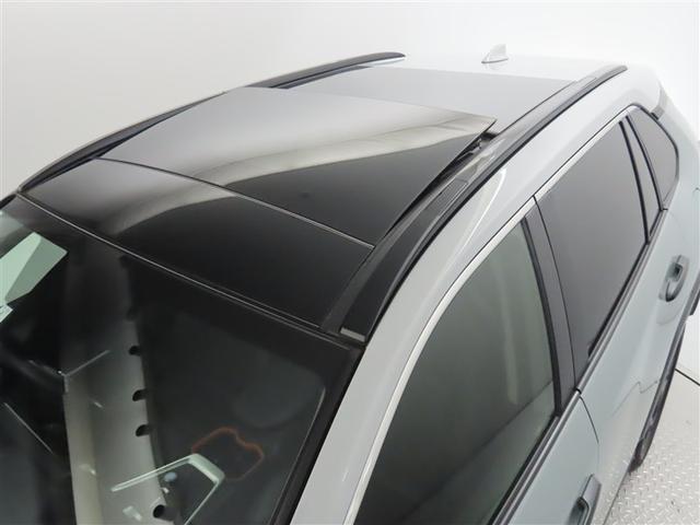 ＲＡＶ４ アドベンチャー（6枚目）