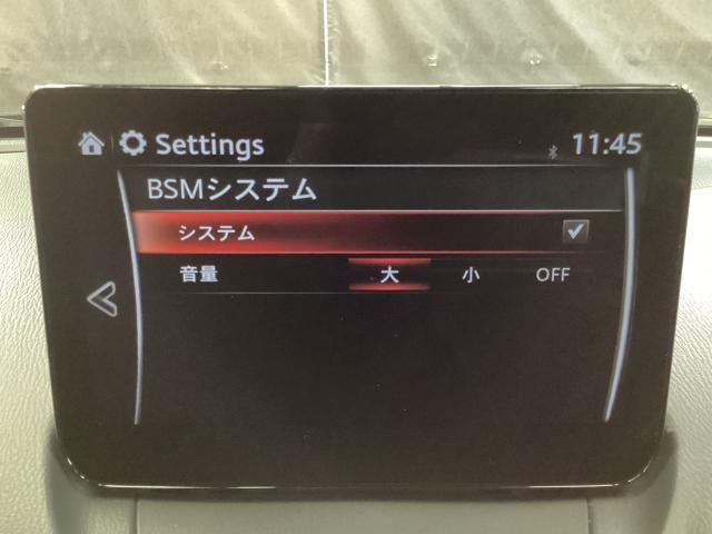 ＣＸ－３ １．５　１５Ｓ　ツーリング　衝突軽減ブレーキ　ＡＴ誤発進抑制装置　３６０度ビューモニター　カープレー　純正２カメドライブレコーダー　スマートシティブレーキ　全方位カメラ　ＵＳＢ　エアコン　フルセグ　ＬＥＤヘッドライト　ＤＶＤ再生（9枚目）