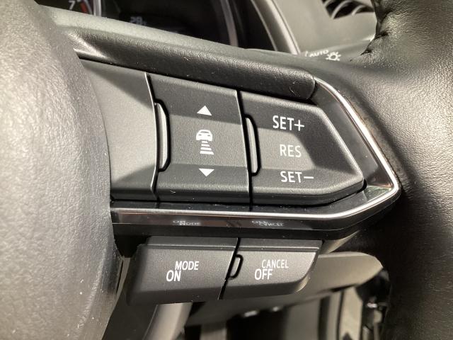 ＣＸ－３ １．５　１５Ｓ　ツーリング　衝突軽減ブレーキ　ＡＴ誤発進抑制装置　３６０度ビューモニター　カープレー　純正２カメドライブレコーダー　スマートシティブレーキ　全方位カメラ　ＵＳＢ　エアコン　フルセグ　ＬＥＤヘッドライト　ＤＶＤ再生（23枚目）