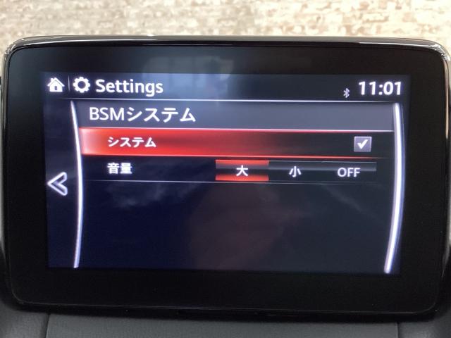 CX-3 15S ツーリング 地デジ 360°モニター ワンオーナー HBC パーキングセンサー 車線逸脱警報装置 2カメラドラレコ Bluetooth アドバンストキーレス BSM パーキングセンサー ワンオーナー車 USB(16枚目)