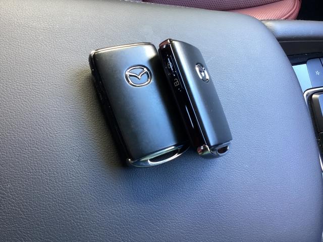 MAZDA3ファストバック 2.0 X ツーリング バーガンディレザーパッケージ 4WD 360ビューモニター カープレー BOSEスピーカー ワイヤレス充電 ステアリングヒーター シートヒーター スムースレザーシート (22枚目)