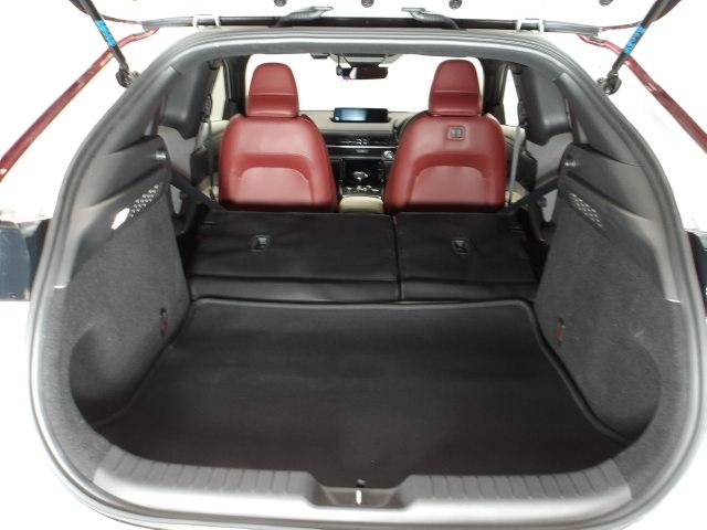 MX-30 2.0 100周年特別記念車 360度ビューモニター カープレー BOSEスピーカー 純正2カメドライブレコーダー ステアリングヒーター シートヒーター MRCC ドライブレコーダー USB 地デジ サイドエアバッグ メモリーナビ(13枚目)