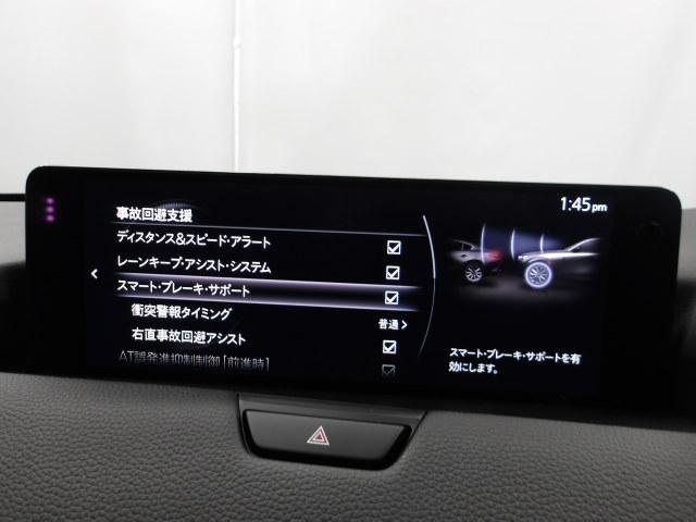 �Ԃ��Q�������łȂ��l�����m���A�u���[�L���������䂵�ďՓˉ�����T�|�[�g���Ă����A�h�o���X�g�E�X�}�[�g�E�V�e�B�E�u���[�L�E�T�|�[�g�𑕔��I