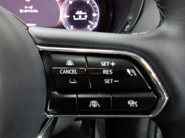 �l�q�b�b�i�}�c�_���[�_�[�N���[�Y�R���g���[���j�͐�s�ԂƂ̎ԊԂ��ێ����Ȃ���Ǐ]���s���s���A�������ł̃h���C�o�[���S���y�������Ă���܂��B