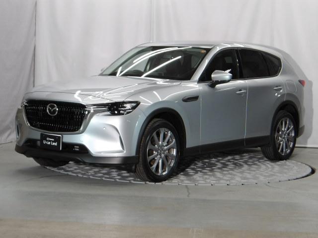 �[��ꎞ��A�������g���l���ȂǁA�w�b�h���C�g�_�E�����̔ς킵������J�����Ă����I�[�g���C�g����������Ă��܂��B