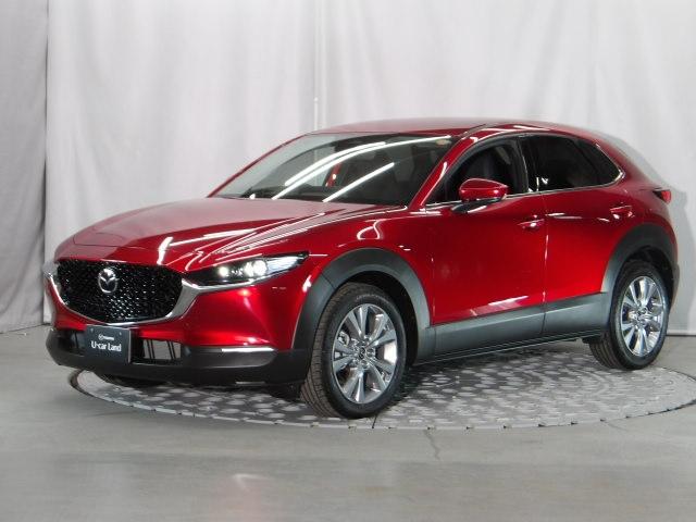 �[��ꎞ��A�������g���l���ȂǁA�w�b�h���C�g�_�E�����̔ς킵������J�����Ă����I�[�g���C�g����������Ă��܂��B