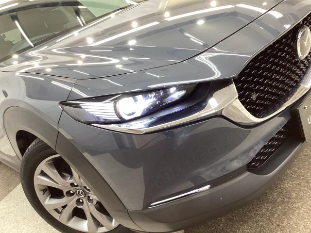 ＣＸ－３０ ２．０　２０Ｓ　プロアクティブ　ツーリングセレクション　４Ｗ　６ＭＴ　地デジ　ＢＯＳＥ　３６０°カメラ　ＬＥＤ　ＥＴＣ　オートライト　電動シート　ＭＲＣＣ　純正１８ＡＷ　ワンオーナー　シ－トヒ－タ－　ＢＴ接続　ＥＴＣ装着車　Ｒカメラ　地デジＴＶ　サイドカメラ（32枚目）