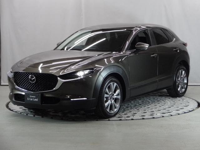 CX-30 20S ソナー フルセグテレビ アダプティブクルーズ LEDライト Bluetooth接続 バックカメラ メモリーナビ ETC レーンアシスト オートライト DVD アイドリングストップ 盗難防止装置 USB(35枚目)