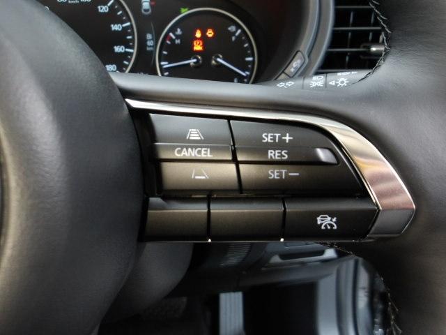 CX-30 20S i Selection パワーリフトゲート ETC オートライト 試乗車 360°カメラ LED MRCC(22枚目)